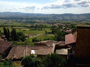 In expectation of happy budding events...