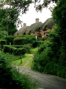 Lodged in the chocolate box at Micheldever, Hampshire