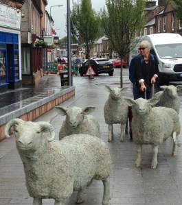 Sheparding to Moffat