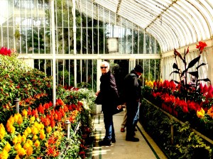 Orange on green with white....? Belfast Botanicals