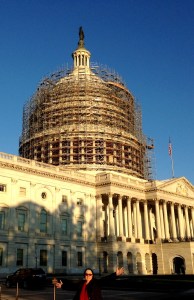 The mighty US Capitol....undergoing de-rusting